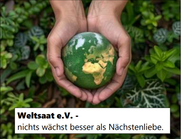 Weltsaat e.V. Titelbild